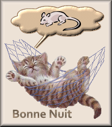 bonne nuit chaton